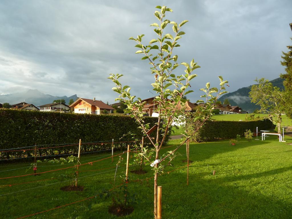 Hotel Restaurant Sunnmatt Aeschi Bei Spiez Luaran gambar
